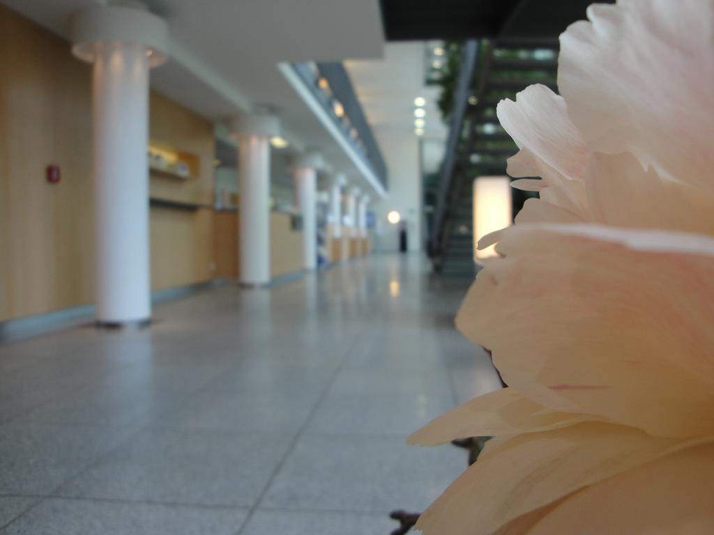 Akademiehotel Dresden Ngoại thất bức ảnh